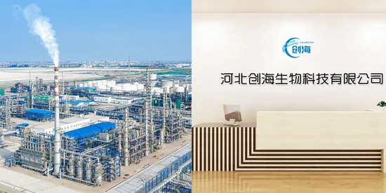 Hochwertiges 99 % hochreines Carnosinpulver in kosmetischer Qualität, CAS 305-84-0